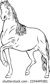 Horse running, outline vector illustrations design 