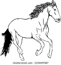 Horse Running Outline Vector Illustrations Design Stock Vector (Royalty ...