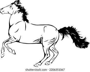 Ilustraciones de vector de contorno de carreras de caballos 