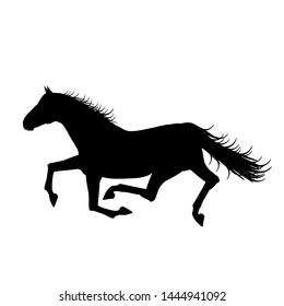 Horse running silhouette on white background