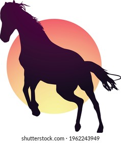 Horse running at sunset. Wild horse enjoys freedom. 