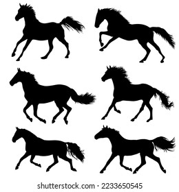 Horse running vector silhouette - 