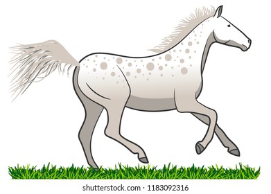 Horse running. White Mustang on grass. Vector illustration isolated.