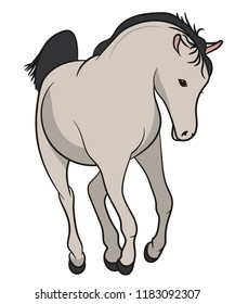 Horse running. White Mustang. Vector illustration isolated.
