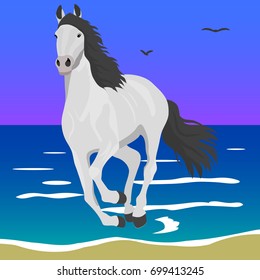The horse runs along the shore of the sea. Vector image of a white horse.