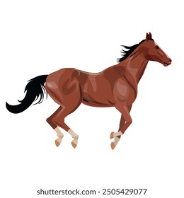 Horse runs gallop. Vector illustration isolated on a white background