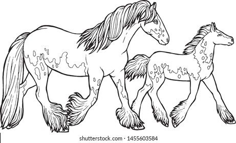 Horse runs trot. Coloring book. The horse runs trot. Coloring book. Tinker is a thoroughbred horse.