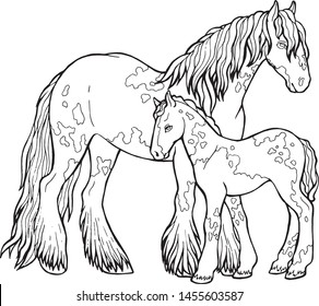 Horse runs trot. Coloring book. The horse runs trot. Coloring book. Tinker is a thoroughbred horse.