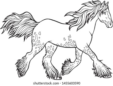 Horse runs trot. Coloring book. The horse runs trot. Coloring book. Tinker is a thoroughbred horse.