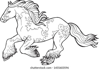 Horse runs trot. Coloring book. The horse runs trot. Coloring book. Tinker is a thoroughbred horse.