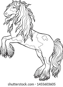 Horse runs trot. Coloring book. The horse runs trot. Coloring book. Tinker is a thoroughbred horse.