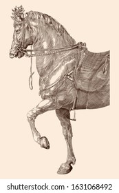 Horse with saddle and harness in vintage style on a beige background.