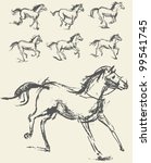 Horse. Set. Hand-drawn. Vector illustration. Phase of the movement