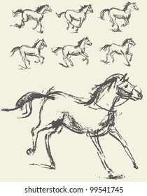 Horse. Set. Hand-drawn. Vector illustration. Phase of the movement