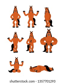 Horse set poses. Steed happy and yoga. hoss sleeping and angry. guilty and sad. Vector illustration