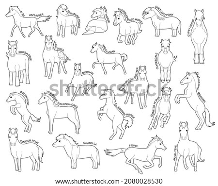 Horse Set Various Kind Identify Cartoon Vector Black and White