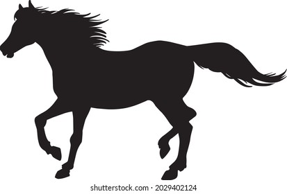 Horse, shadow on white background - vector design. 