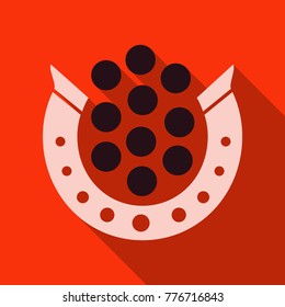 Horse shoe . Vector.