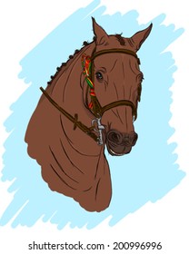 horse show jump horse ridding ribbon reins bit harness blue background