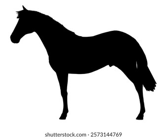 Horse is shown in silhouette against a white background. The horse is tall and slender, with a long neck and a long tail. Concept of elegance and grace