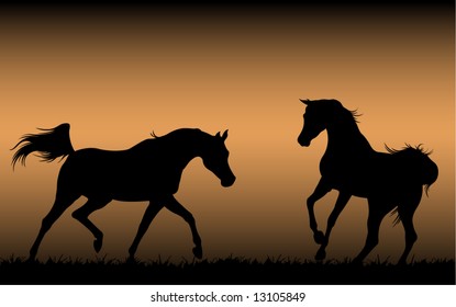 horse silhouette