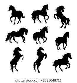 horse silhouette animal vector design illustration