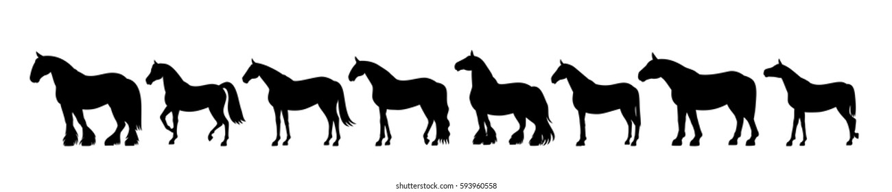 Horse silhouette banner