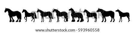 Horse silhouette banner