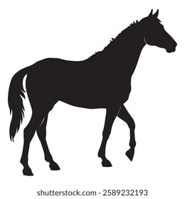 Horse Silhouette black clipart illustration