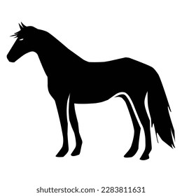 horse silhouette black vector. wildlife silhouettes