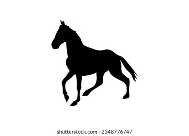 Horse silhouette black and white vector.