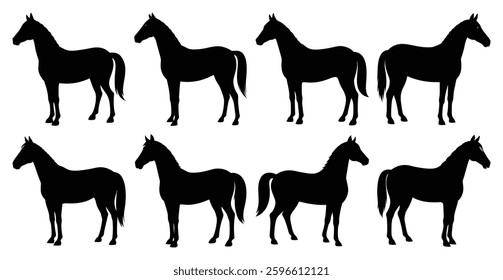 Horse Silhouette Bundle for Animal and Wildlife Designs