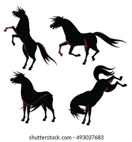 Horse silhouette collection. EPS 10 vector.