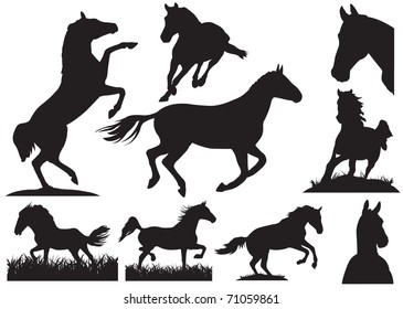 Horse silhouette collection. Vector illustration