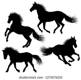 horse silhouette with detailed hair vector illustration design template