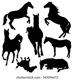 Horse silhouette, different allure. Equestrian illustration, web design page icon element. Western style, wild nature picture.