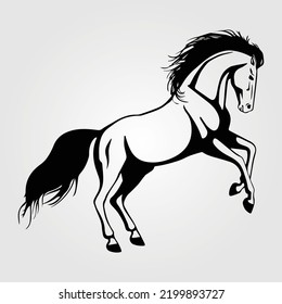 Horse Silhouette Equestrian Vector Illustration Outline Equine Horses Riding Racing Pony Horse Rider