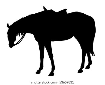 The Horse. The Silhouette. The Graphics.