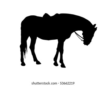 The Horse. The Silhouette. The Graphics.