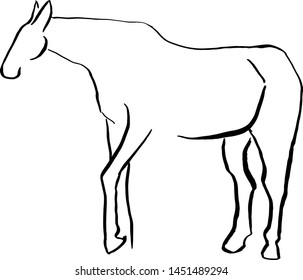 Horse silhouette handmade with brush and Chinese ink. Vector