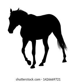 Horse Silhouette. Highly Detailed Smooth. Vector Illustration.