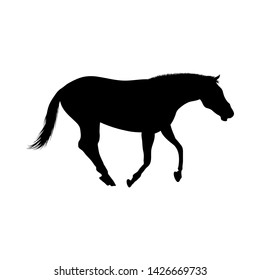 Horse Silhouette. Highly Detailed Smooth. Vector Illustration.