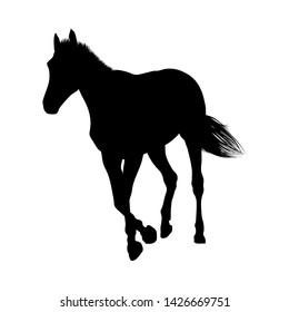 Horse Silhouette. Highly Detailed Smooth. Vector Illustration.