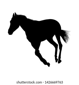 Horse Silhouette. Highly Detailed Smooth. Vector Illustration.