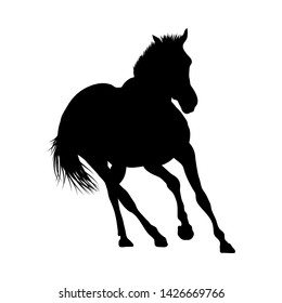 Horse Silhouette. Highly Detailed Smooth. Vector Illustration.