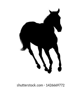Horse Silhouette. Highly Detailed Smooth. Vector Illustration.