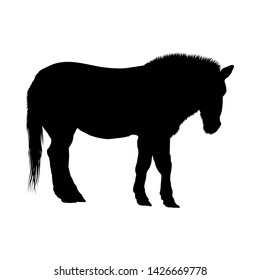 Horse Silhouette. Highly Detailed Smooth Design. Vector Illustration.