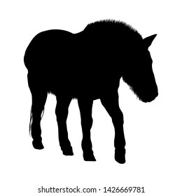 Horse Silhouette. Highly Detailed Smooth Design. Vector Illustration.