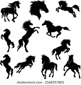 Horse Silhouette Illustration. Horse Shadow