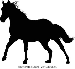 Horse silhouette illustration in vector